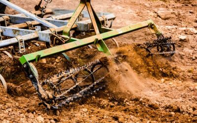 Rolniku weź udział w projekcie! Otrzymaj dotację dla swojego gospodarstwa!