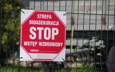 Pomoc dla producentów trzody chlewnej w związku z tegorocznymi zaostrzeniami wymogów bioasekuracji