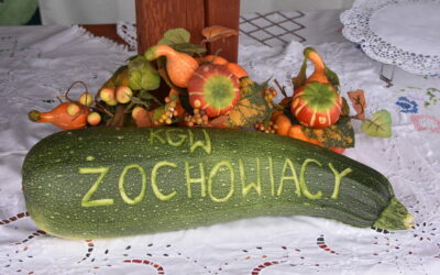 Wsparcie dla Kół Gospodyń Wiejskich – nabór od 1 września