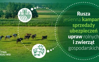 Rozpoczęła się jesienna sprzedaż ubezpieczeń upraw rolnych i zwierząt gospodarskich