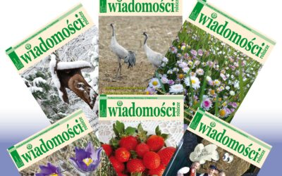 „Wiadomości Rolnicze” w gronie najlepszych