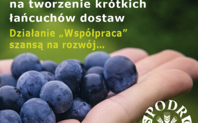 Rozpoczął się nabór wniosków na tworzenie krótkich łańcuchów dostaw