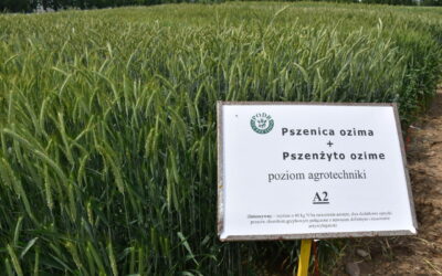 Lista odmian zalecanych do uprawy na 2022 rok w województwie podlaskim