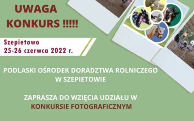 Konkurs fotograficzny podczas WZH!
