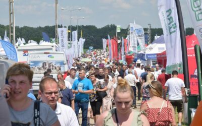 Święto podlaskiego rolnictwa – Wystawa Zwierząt Hodowlanych