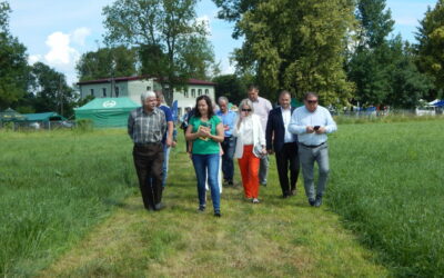 Dni Pola w Krzyżewie