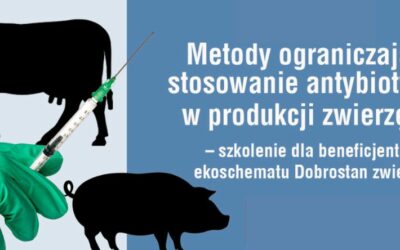 Metody ograniczające stosowanie antybiotyków w produkcji zwierzęcej – szkolenie dla beneficjentów ekoschematu „Dobrostan zwierząt”