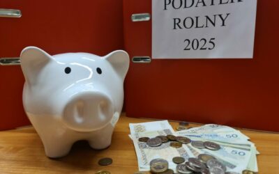 Jaka kwota podatku rolnego w 2025 roku?