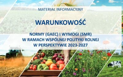 Warunkowość