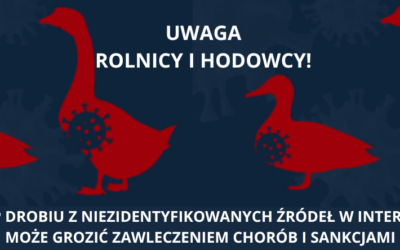 UWAGA ROLNICY I HODOWCY! ZAKUP DROBIU Z NIEZIDENTYFIKOWANYCH ŹRÓDEŁ W INTERNECIE MOŻE GROZIĆ ZAWLECZENIEM CHORÓB I SANKCJAMI
