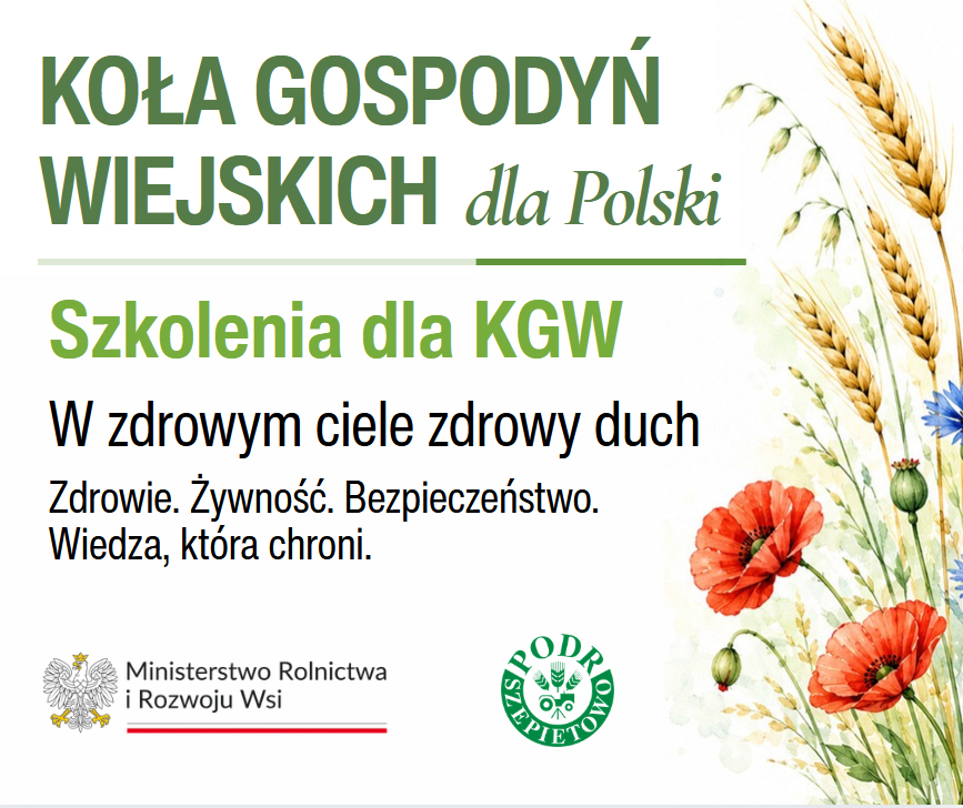 nowe