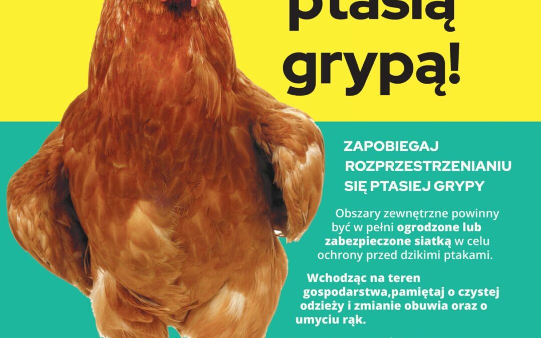 #NoBirdFlu – druga edycja kampanii