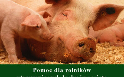 Pomoc dla rolników utrzymujących lochy i prosięta
